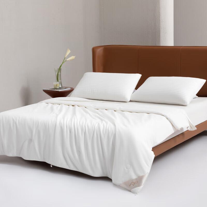 Mercury Home Textiles Ganzjahres-Antibakterielle Maulbeerseiden-Bettdecke