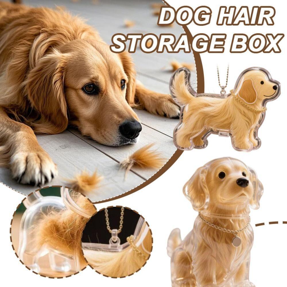 Transparent Dog Fur Storage Pendant Fur Storage Capsule DIY Accessories Portable Souvenirs Keychain Cute Pet Hair Container