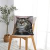 Cat Nap Artistic Design Pillow Case Kawaii Pillow Cover Comfy Pillowcases For Sofa Home Decor