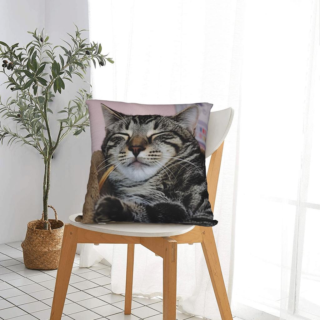 Cat Nap Artistic Design Pillow Case Kawaii Pillow Cover Comfy Pillowcases For Sofa Home Decor