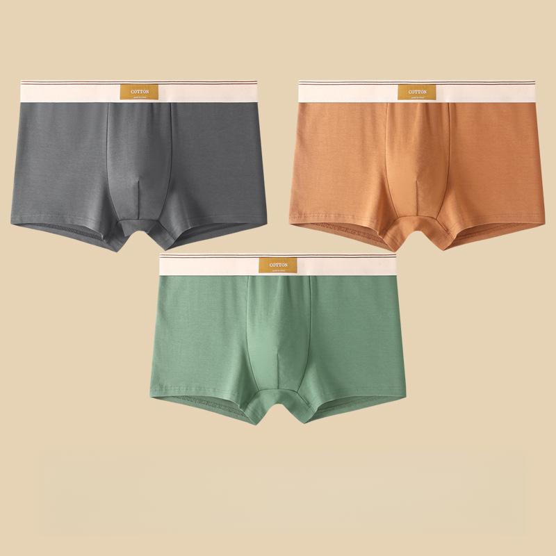 3pcs Men's Underwear Men's Boxer Shorts Teenagers' Breathable Four Cornered Shorts Men's Shorts Boxer Brief