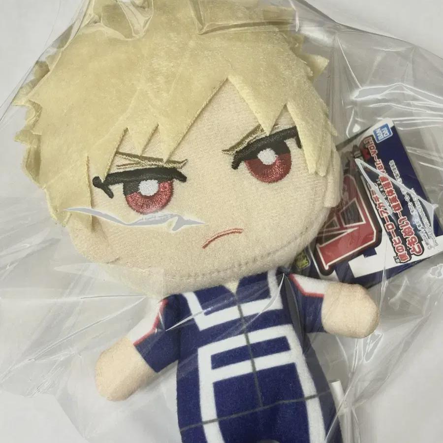

Hiroaka Nahia Bakugo Tomonui Sister Doll Yuei Gym Suit
