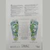 Acupressure Socks Physiotherapy Massage Relieve Tired Feet Reflexology Socks Foot Point Socks Full English Illustration