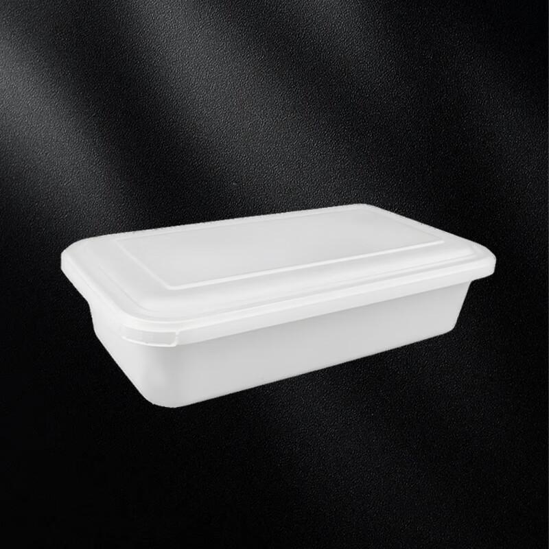 Disposable Rectangular Food Container