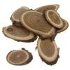 Wood Branch Sliced from Pagoda Trees Ø1-3cm