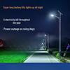 Jun Ding Ying Solar LED Street Light
