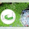 Improve Water Quality Floating Plant Feeding Ring Separates Aquarium Filter