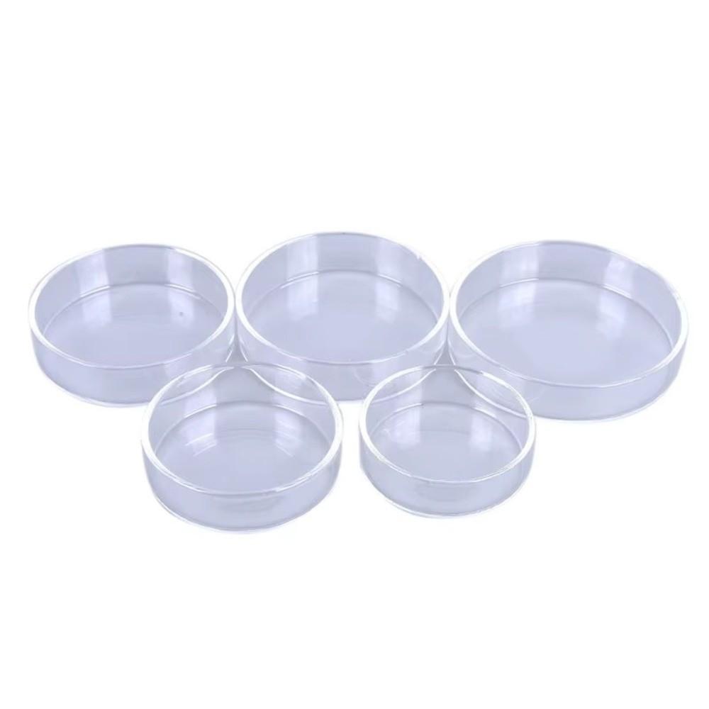 Durable Fish Tank Feeder Glass Fish Tank Food Dispenser Aquarium Feeding Bowl for Baby Fish Shrimp