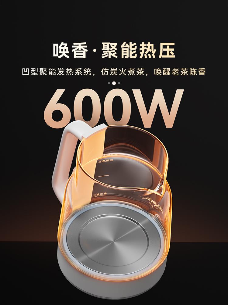 220V Electric Kettle Automatic Steam Spray Teapot Multifunctional Glass Health Pot Thermo Pot Household Boil Water Kettle
