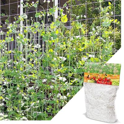 Rete di supporto per piante di verdure Rete rampicante per piante 1 pezzo Rete di luffa per fiori di vite