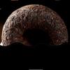 500g Bio Yunnan Tuocha Menghai Ancient Tree Pu erh Black Tea