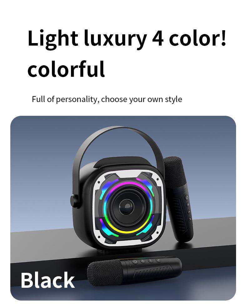 V11 Kabelloser Bluetooth Karaoke-Lautsprecher: Tragbarer, Outdoor-, Schreibtischtauglicher Subwoofer mit Mikrofon