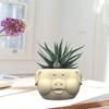 Pig Shaped Concrete Moulds DIY Vase Molds Silicone Material for DIY Hand-Making