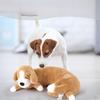 Cucciolo che dorme Simulazione battito cardiaco Peluche Cane Giocattolo Copertura rimovibile Sollievo dall'ansia Compagno calmante Giocattolo per cuccioli cani di taglia media grande