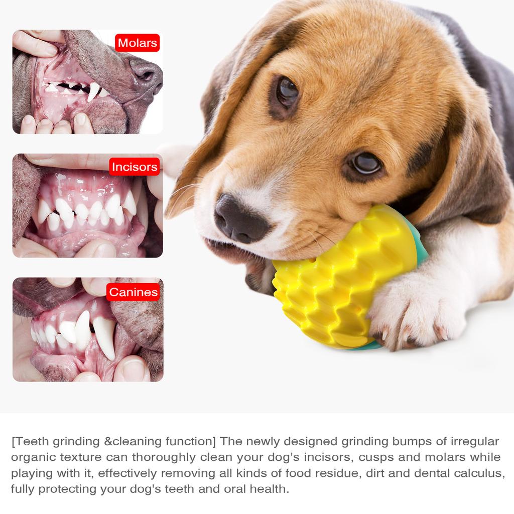 Chew Squeaky Dog Ball Toy For Small Large Dogs Interactive Improve IQ Teeth Cleaning Puppy Toys French Bulldog Pug Pet Supplies