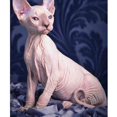 Deimantinė tapyba Sfinkso katė Kalnų krištolų paveikslėlis Deimantinis siuvinėjimas Siuvinėjimo kryželiu rinkiniai Deimantinė mozaika, pilnas apvalus gręžtuvas, dovana