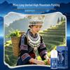 Miaobenyuan Pain Relief Medicated Plaster