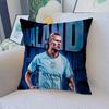 E-Erling B-Braut FootballStar H-Haaland Poduszka Poduszka Anime Pokrowiec na Poduszkę do Kanapy Łóżka Zagłówek Pokrowiec na Poduszkę 45x45 cm Moda