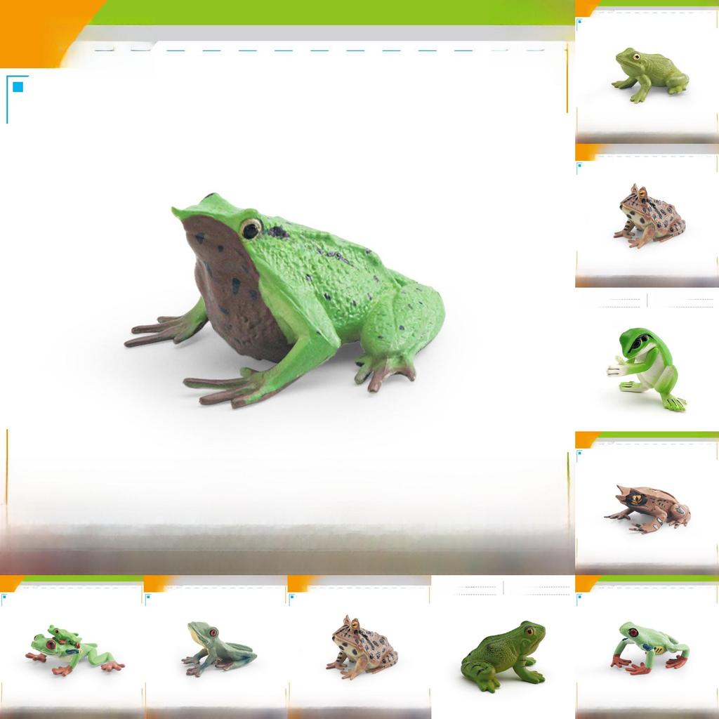Wildlife Pvc Animal Models With Realistic Frog Collection For Children Educational Decor