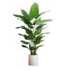 Bird of Paradise Indoor Artificial Floor Plant - Luxurious Bionic Greenery Decor for Living Room