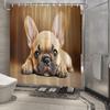 Realistic French Bulldog Shower Curtain - Detailed Texture & Lifelike Eyes, Light Tan & Warm Brown, Polyester, 12 Hooks