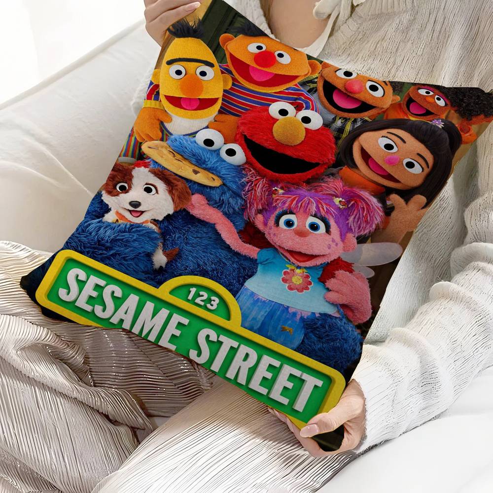 Anime Cartoon S-Sesame S-Streets Pillow Cushion Cover Pillowcase Living Room Sofa Home Decor Customized