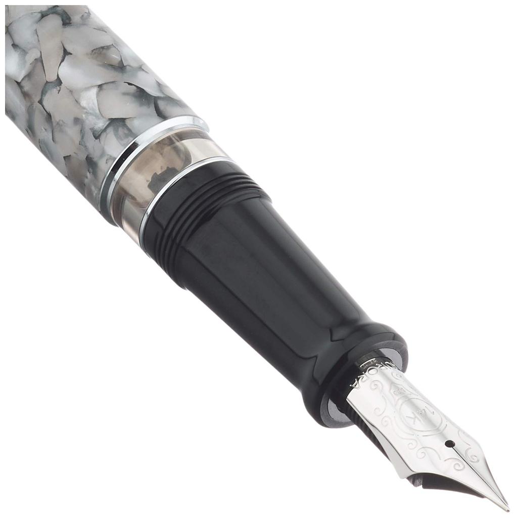 Aurora Fountain F Fine Optima Black Piping Officially Imported Pen, Nib, 996-CGF, Pearl, Type,