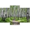Three Piece Picture Canvas Print Birch Forest Nature