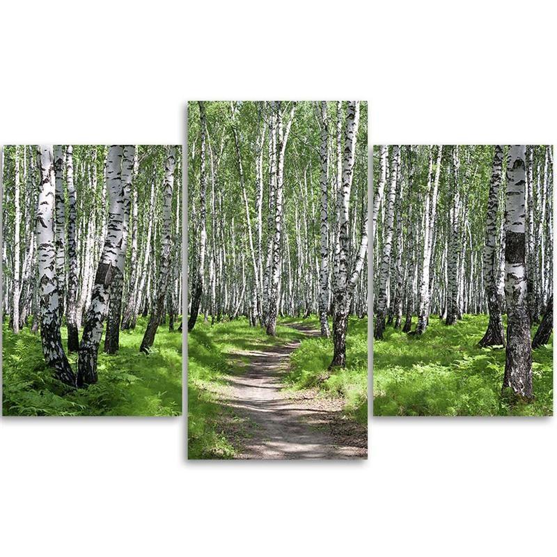 Three Piece Picture Canvas Print Birch Forest Nature