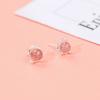 Sterling Silver Strawberry Crystal Zircon Womens Stud Earrings Niche Design Ear Jewelry