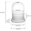 Cupola di Vetro con Foro per l'Aria Campana di Vetro a Cloche con Base Espositore da Tavolo per la Casa Contenitore Terrario Trasparente per Piante, Terrario