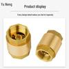 Brass Vertical Check Valve with Dual Female Thread