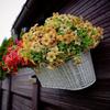 4 Stück Künstliche Seidenblumen Outdoor Faux Blumen Plastik Stoff Grünpflanzen zum Hängen Pflanzgefäß Küche Zuhause Hochzeit Garten Dekoration
