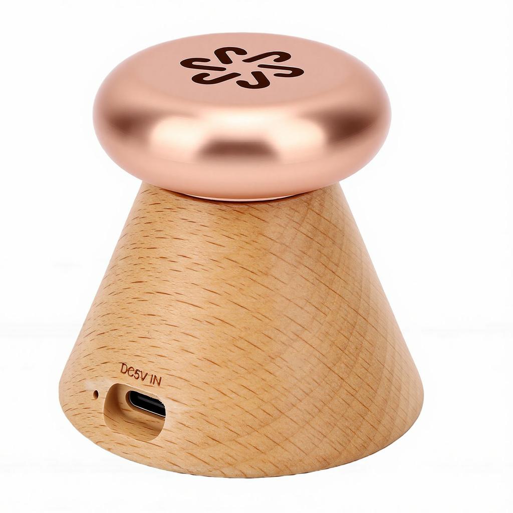 Electric Scent Diffuser Temperature Control Rechargeable Lightweight Essential Oil Diffuser