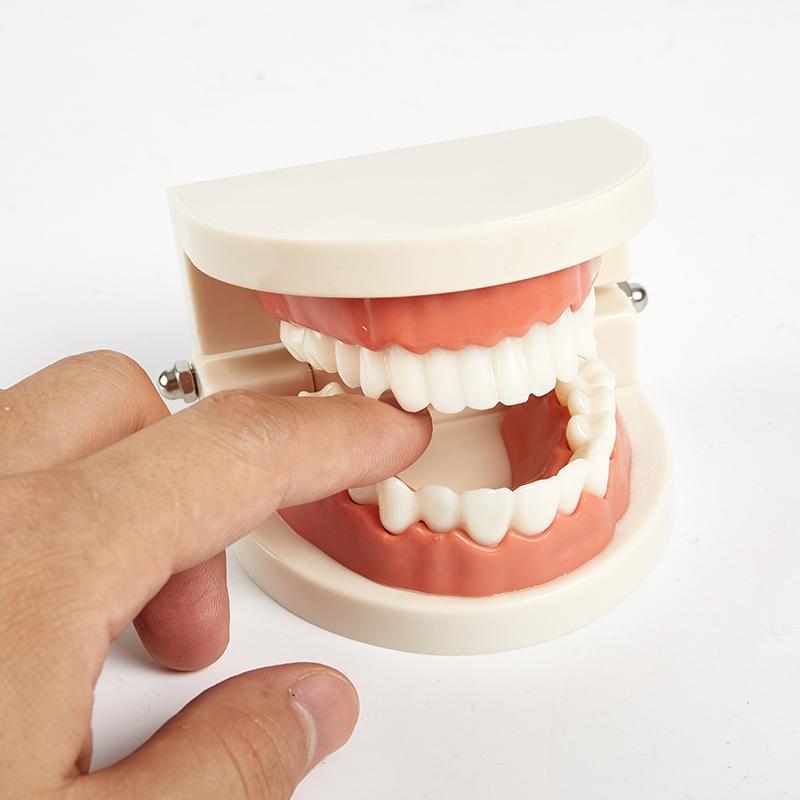 

Educational Toy Children Early Learning Kid Intelligence Brushing Tooth Teaching белый
