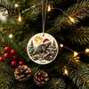 Funny Forest Creature Decoration Christmas Raccoon Acrylic Ornament, Cute Animal Hanging Decor for Tree Healing Style Desk, Festive Holiday