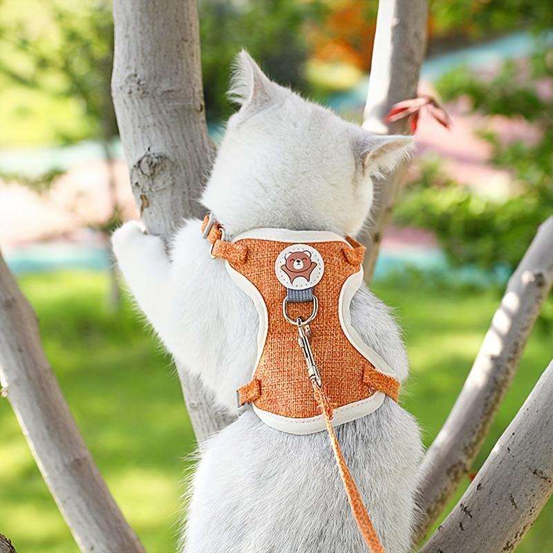 Entzückendes Bärenmuster Katzenleinen-Set für kleine Katzen und Hunde - Niedliches und strapazierfähiges Haustiergeschirr mit atmungsaktiver Brust aus Mesh und ausbruchsicherem Halsband