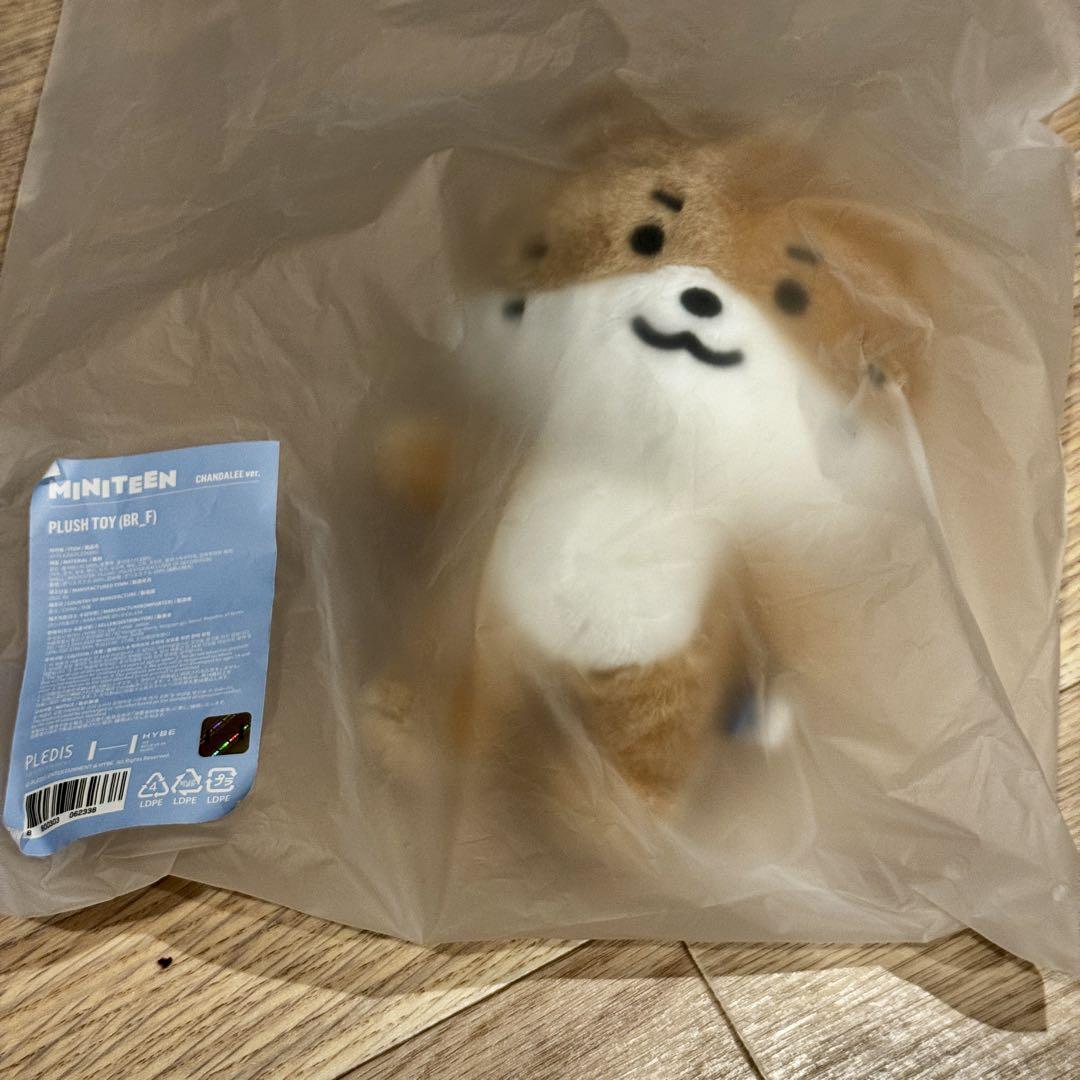 

[Б/У] Всплывающий SEVENTEEN MINITEEN Плюшевый Динозаврик