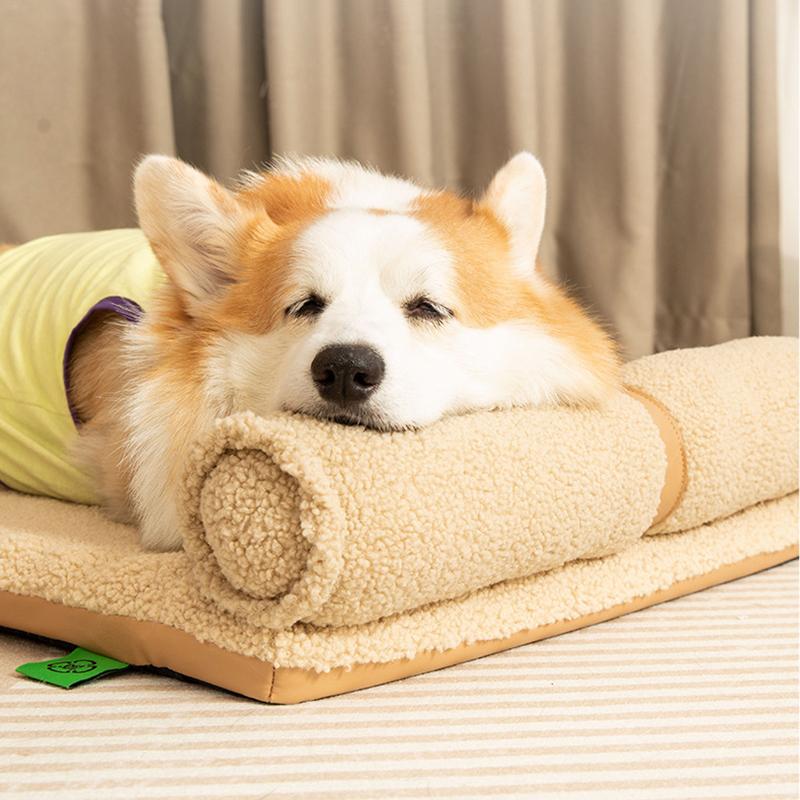 Detachable Soft Plush Dog House with Pillow Comfortable Thickened High Elastic Sponge Indoor Dog Sleeping Mat Pets Accessories