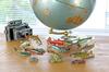 Calorata Japanese Freshwater Fish 3D Encyclopedia Species Includes Instructions and Realistic Figures Birthday Gift Sanitation Law Fish Figure Gift