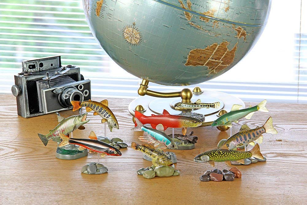 Calorata Japanese Freshwater Fish 3D Encyclopedia Species Includes Instructions and Realistic Figures Birthday Gift Sanitation Law Fish Figure Gift