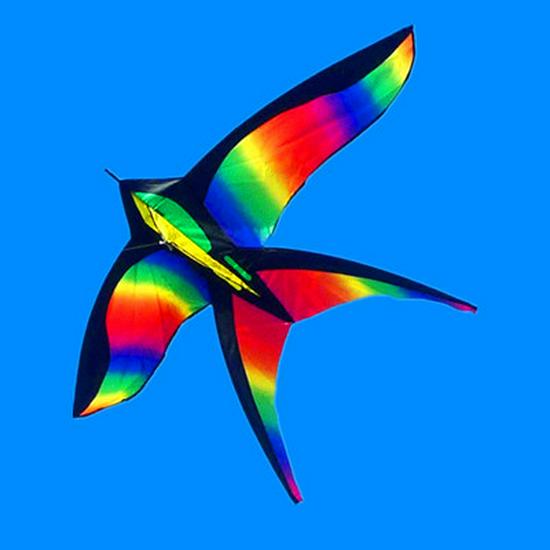 Rainbow Swallow Kite: Easy-to-Fly Colorful Kite for Adults & Kids