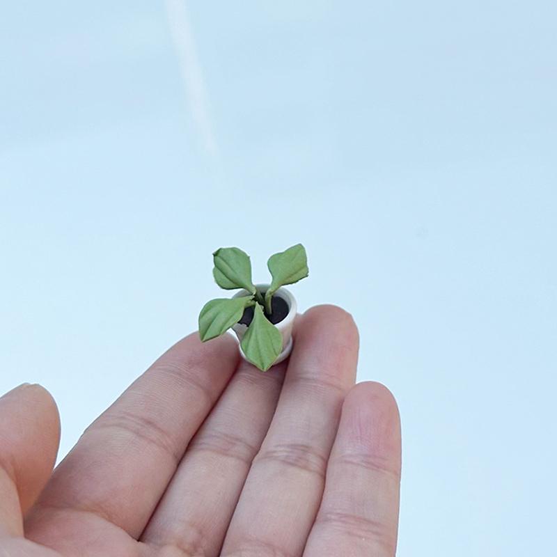 2Pcs 1:12 Dollhouse Furniture Accessories Scenery Decoration Mini  Plants Small Flower Pots Interior Decoration Clay