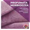 Chanteclair Orchid and Fig Fabric Softener 57 washes