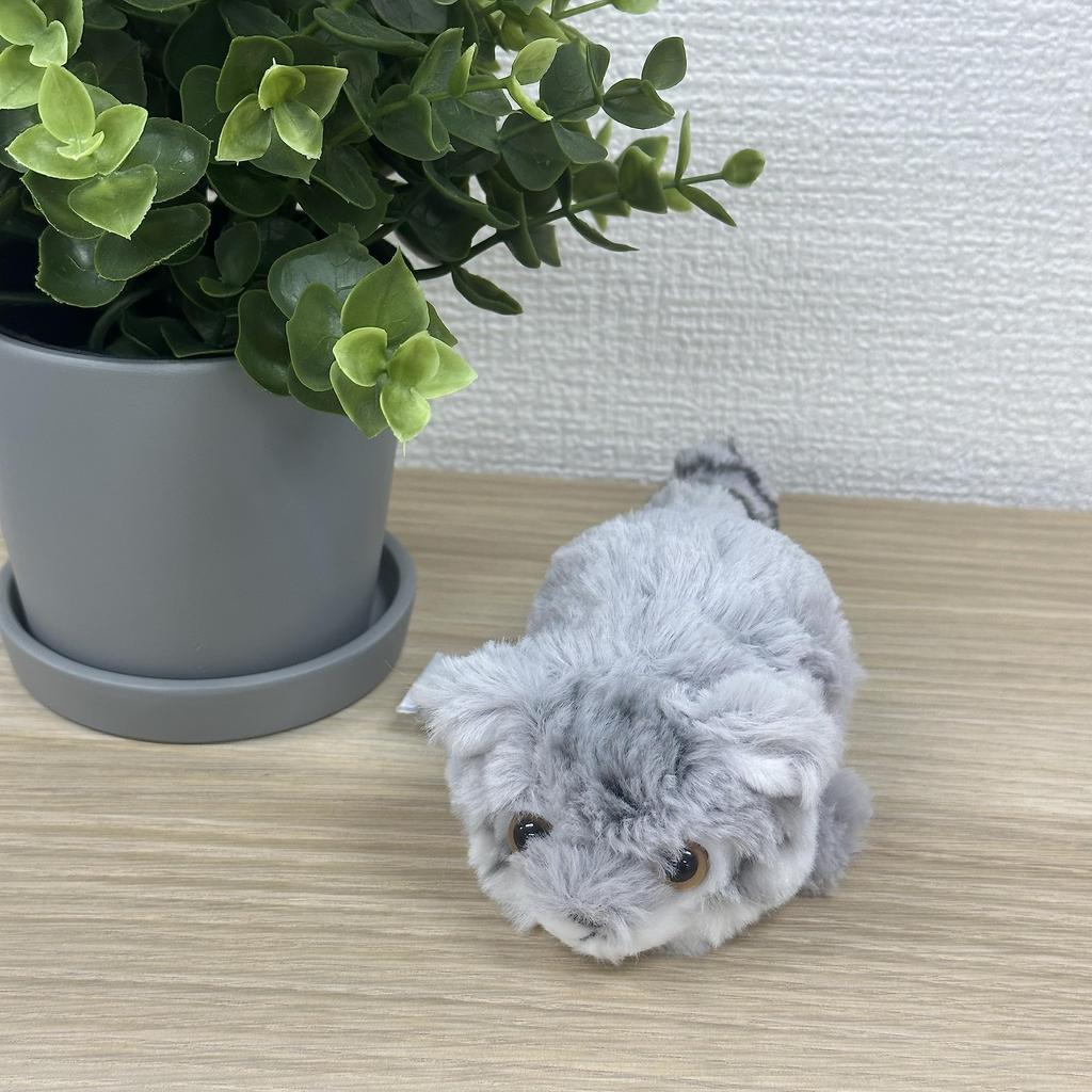 Cute Sales Palm-sized Pallas's Cat Plush Toy Z0376