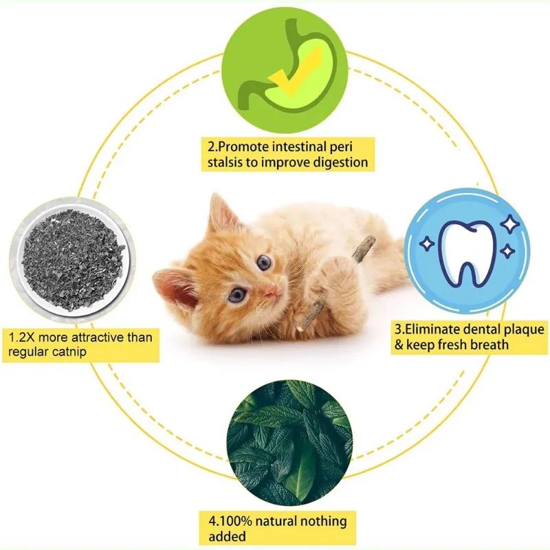 Cat Stick Silver Rattan Stick Cat Toothpaste Stick Natural Cat Mint Teething Stick Kitten Chew Toy Cat Teeth Cleaning Supplies