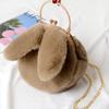 Plush rabbit bag female oblique cross Korean version cute portable fluffy bag autumn and winter new rabbit ear clip bag clip bag
