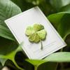 Yousheng Four-Leaf Clover Embroidered Applique, Irish Shamrock Patch, Iron-on Sew-on Applique for Clothes Bags Hats Decoration Repairing