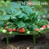 Round Plastic Plant Support Grid with Stakes for Garden Flower and Vegetable Protection Pack of 5 Pieces