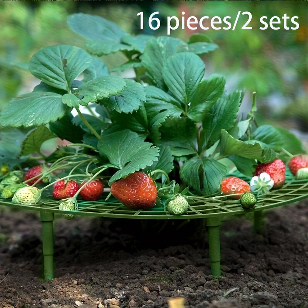 Round Plastic Plant Support Grid with Stakes for Garden Flower and Vegetable Protection Pack of 5 Pieces